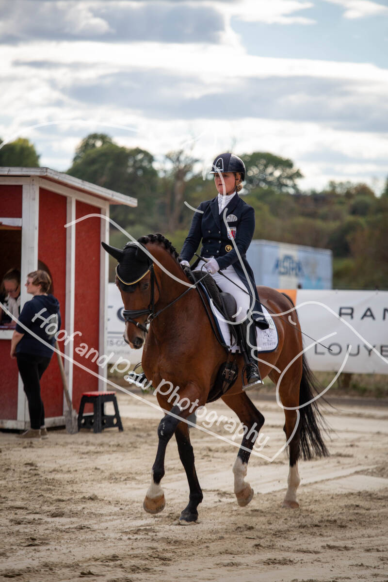 bouferterhaff-jumping-103-standard-k6n1f7.jpg