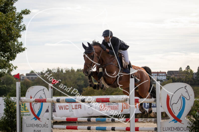 bouferterhaff-jumping-104-standard-4a82y4.jpg
