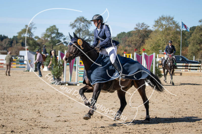 bouferterhaff-jumping-104-standard-57631b.jpg