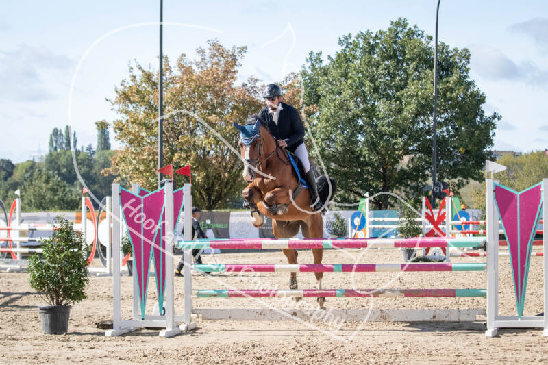 bouferterhaff-jumping-104-standard-jb0ew4.jpg