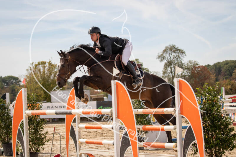 bouferterhaff-jumping-104-standard-q16odd.jpg