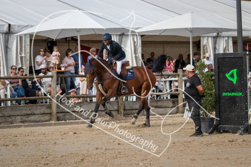 bouferterhaff-jumping-105-standard-7aozbz.jpg