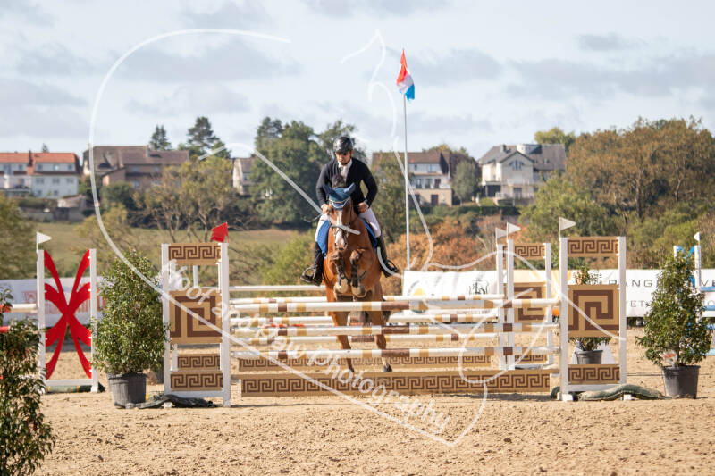 bouferterhaff-jumping-105-standard-a29kcn.jpg
