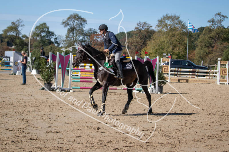 bouferterhaff-jumping-105-standard-q4jnd7.jpg