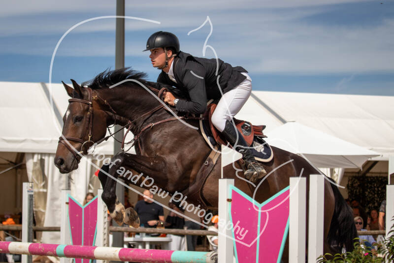 bouferterhaff-jumping-105-standard-vtgtg6.jpg