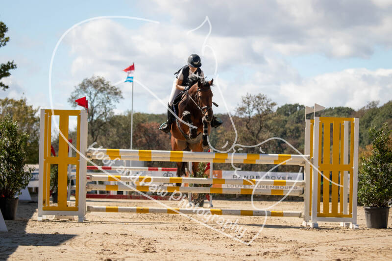 bouferterhaff-jumping-105-standard.jpg