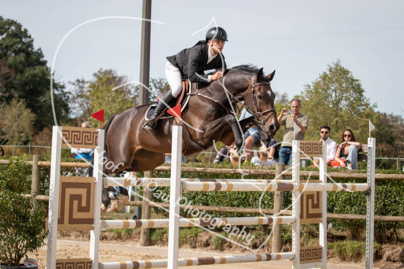 bouferterhaff-jumping-106-standard-6rfe2s.jpg
