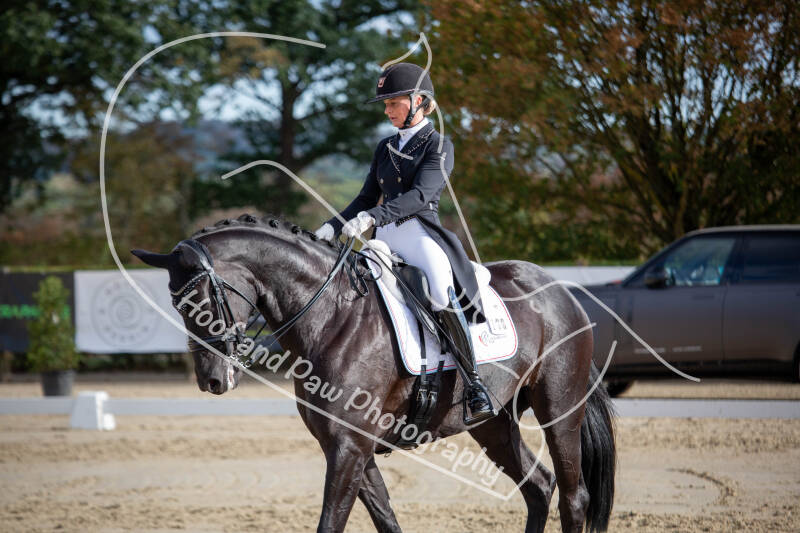 bouferterhaff-jumping-107-standard-7x2iaw.jpg