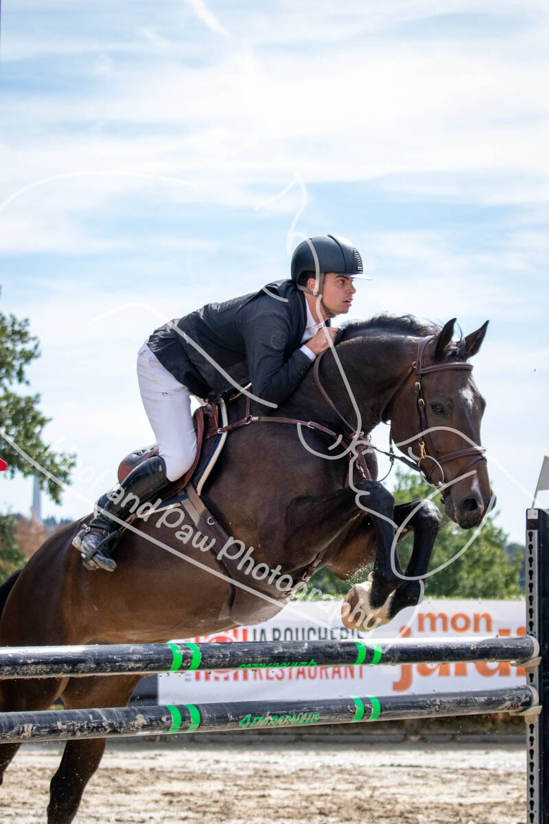 bouferterhaff-jumping-107-standard-oz75yn.jpg