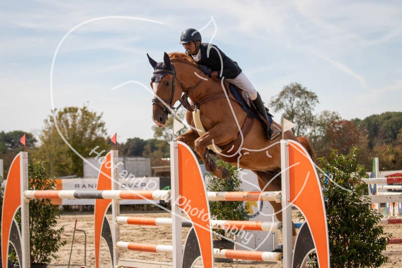 bouferterhaff-jumping-108-standard-dj0m9s.jpg