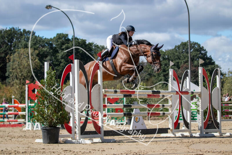 bouferterhaff-jumping-108-standard.jpg