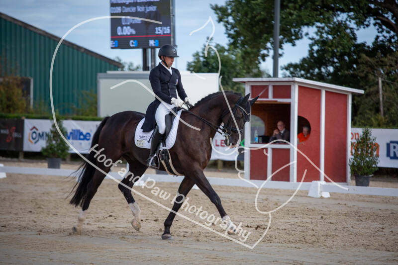 bouferterhaff-jumping-109-standard-p0qy1u.jpg