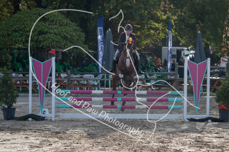 bouferterhaff-jumping-109-standard-rlmksx.jpg
