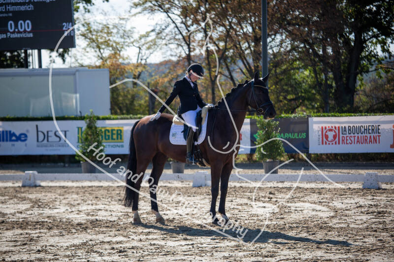 bouferterhaff-jumping-11-standard-134gf7.jpg