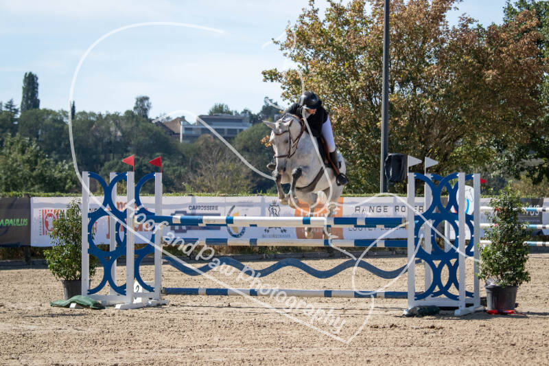 bouferterhaff-jumping-11-standard-31p6jn.jpg