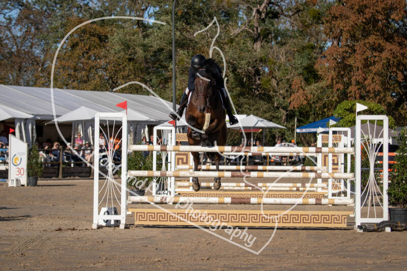 bouferterhaff-jumping-11-standard-3nf92l.jpg