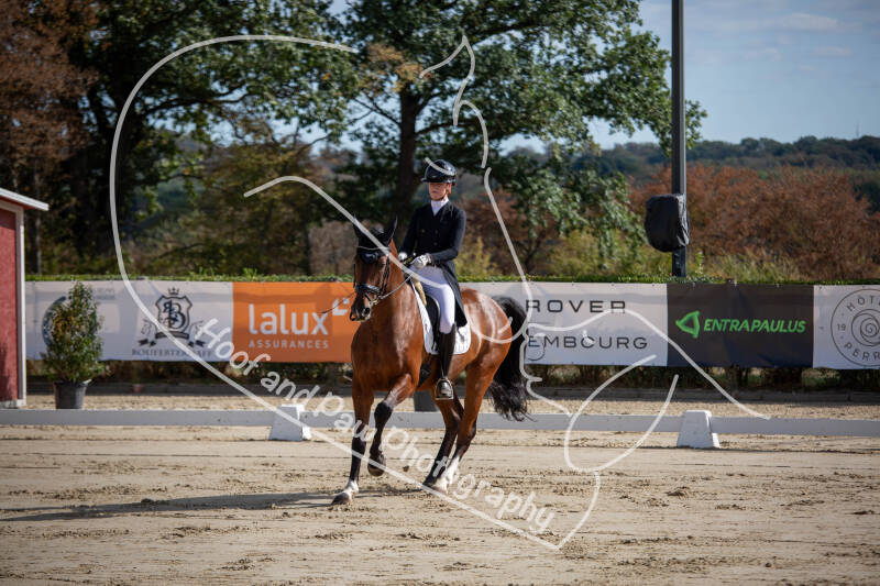 bouferterhaff-jumping-11-standard-adptqg.jpg