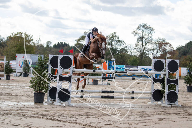 bouferterhaff-jumping-11-standard-gz442f.jpg