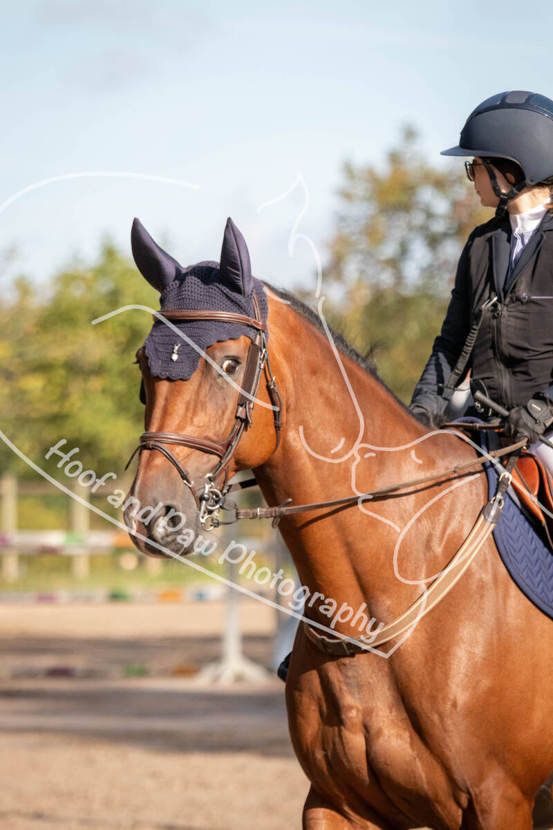 bouferterhaff-jumping-11-standard-jv6dqo.jpg