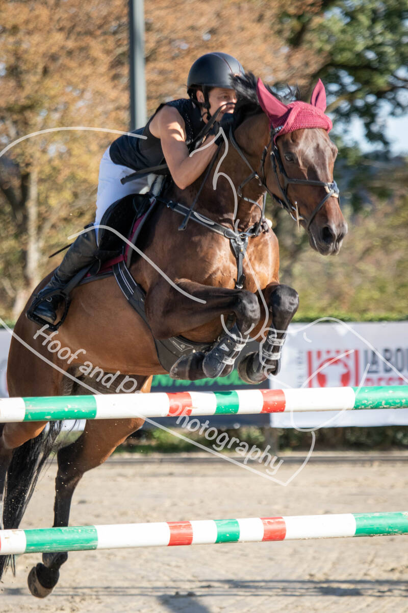 bouferterhaff-jumping-11-standard-xq667m.jpg