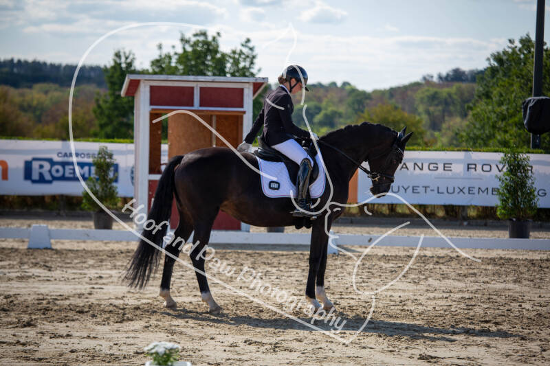 bouferterhaff-jumping-11-standard-zrc08p.jpg