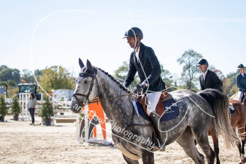 bouferterhaff-jumping-110-standard-dovhx2.jpg