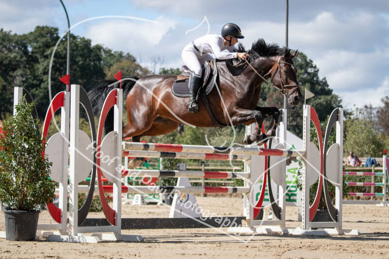 bouferterhaff-jumping-110-standard.jpg