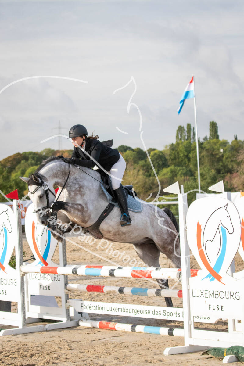 bouferterhaff-jumping-111-standard-oh19ot.jpg