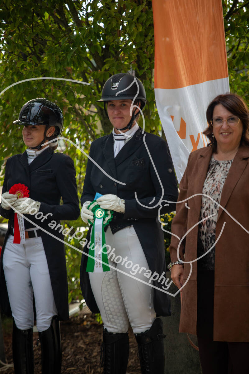 bouferterhaff-jumping-112-standard-8q6g6o.jpg