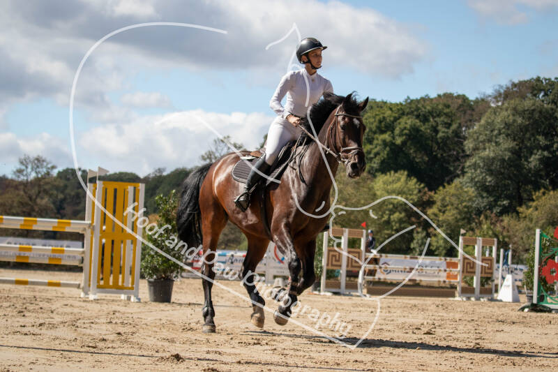 bouferterhaff-jumping-112-standard.jpg