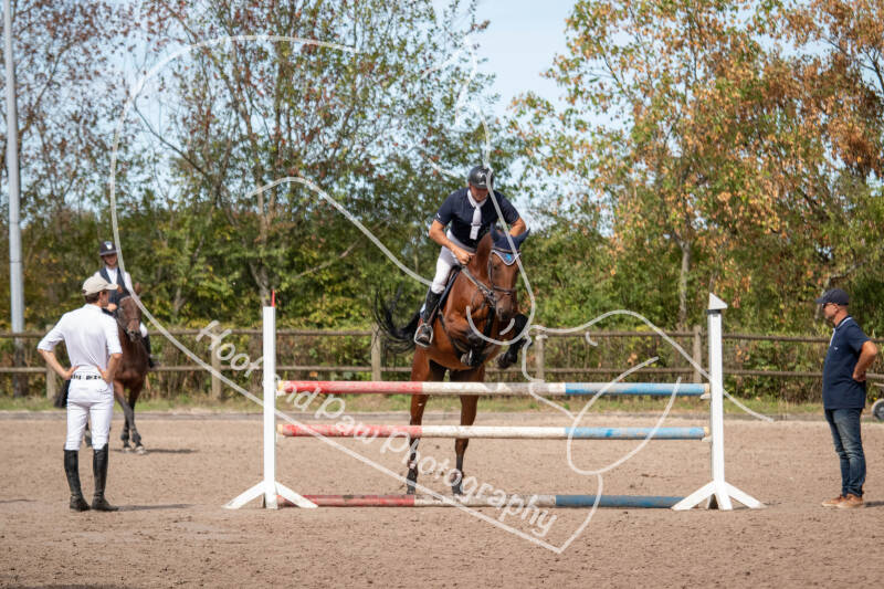 bouferterhaff-jumping-113-standard-bj2sur.jpg