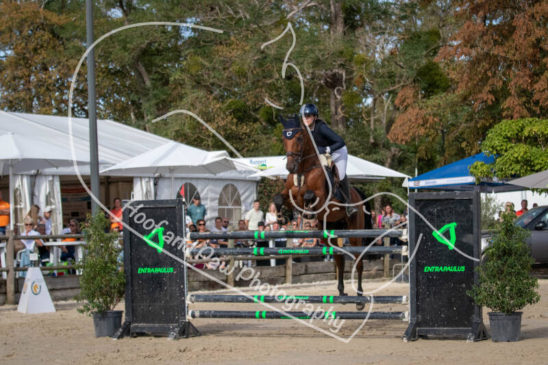 bouferterhaff-jumping-113-standard-g49qwn.jpg