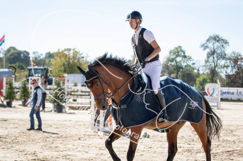 bouferterhaff-jumping-113-standard-sj2zyl.jpg