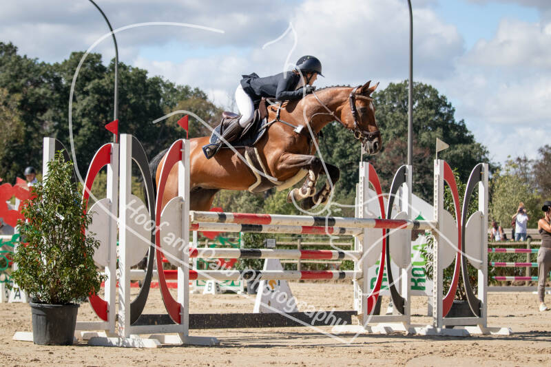 bouferterhaff-jumping-113-standard.jpg