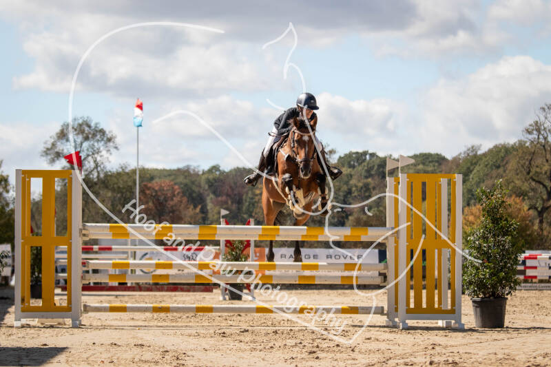 bouferterhaff-jumping-114-standard.jpg