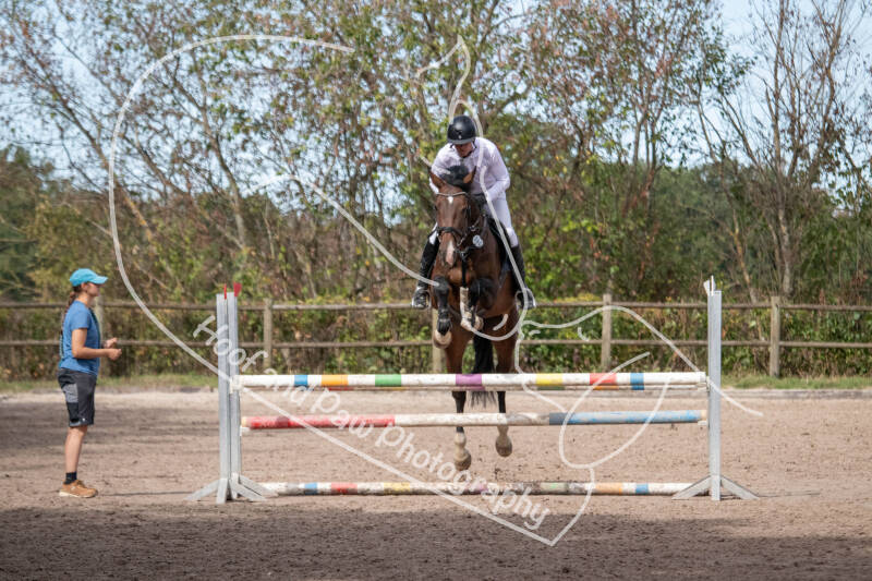 bouferterhaff-jumping-115-standard-sz3x7u.jpg