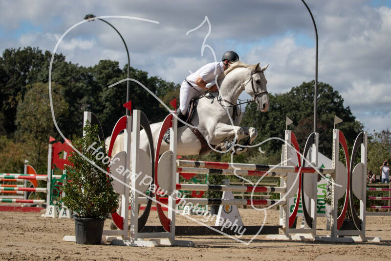 bouferterhaff-jumping-115-standard.jpg