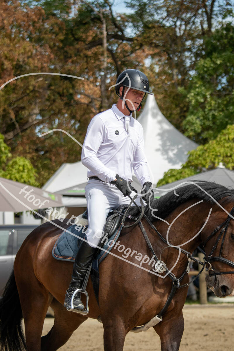 bouferterhaff-jumping-116-standard-cyxp3x.jpg