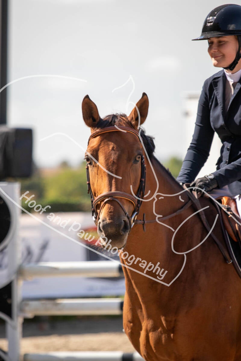 bouferterhaff-jumping-116-standard-pwagj6.jpg