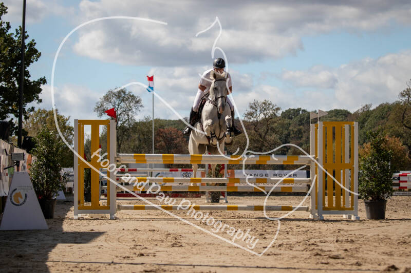 bouferterhaff-jumping-116-standard.jpg