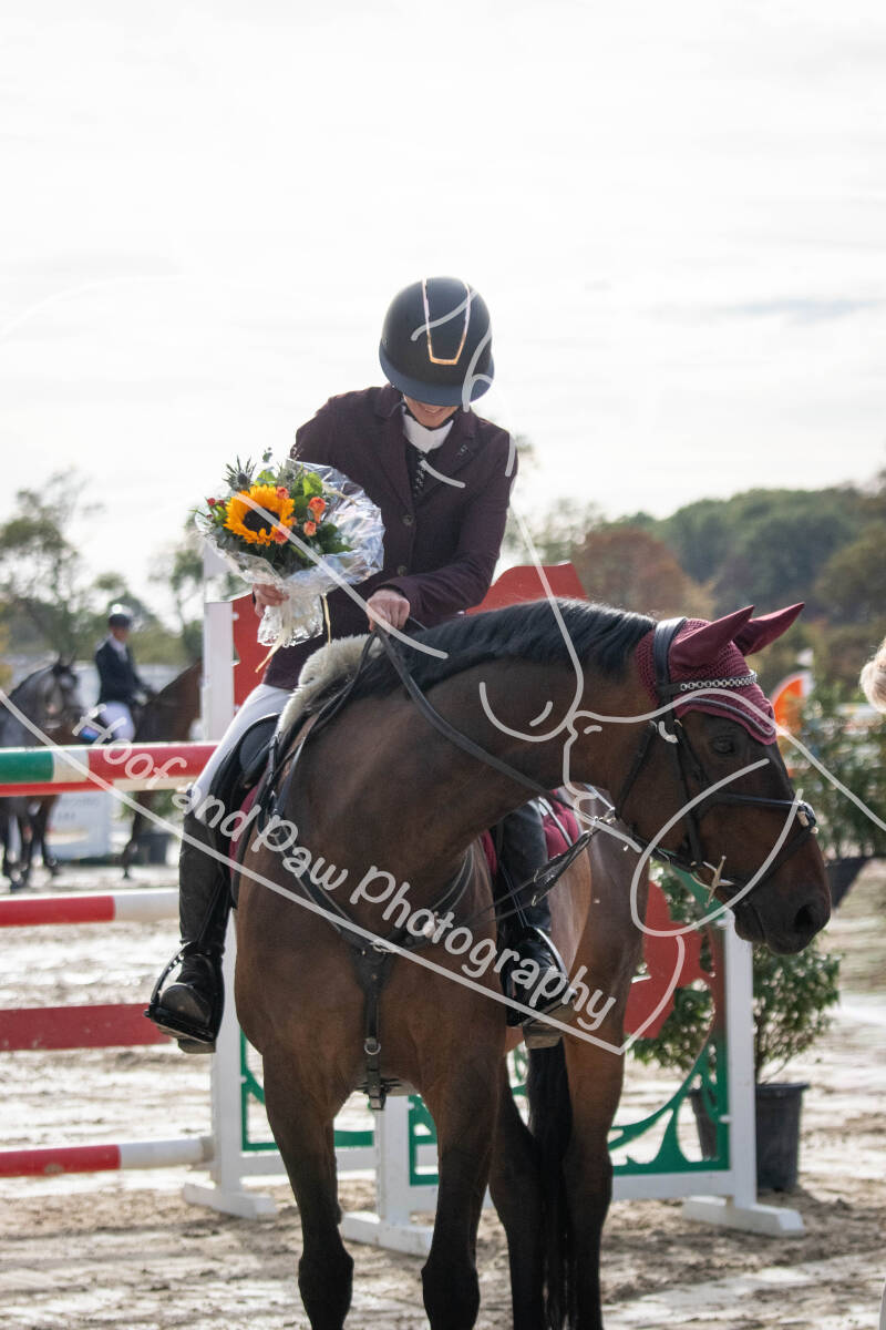 bouferterhaff-jumping-118-standard-9jgwp4.jpg