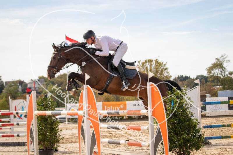 bouferterhaff-jumping-118-standard-vnniut.jpg