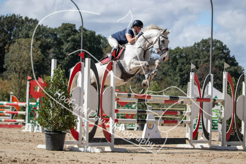 bouferterhaff-jumping-118-standard.jpg