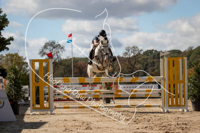 bouferterhaff-jumping-119-standard.jpg