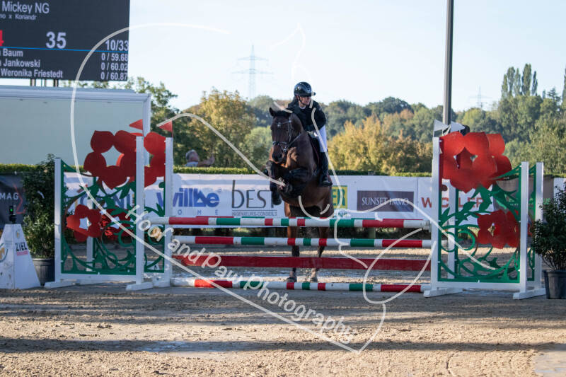 bouferterhaff-jumping-12-standard-09zv5v.jpg
