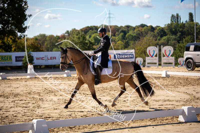 bouferterhaff-jumping-12-standard-1sfpic.jpg