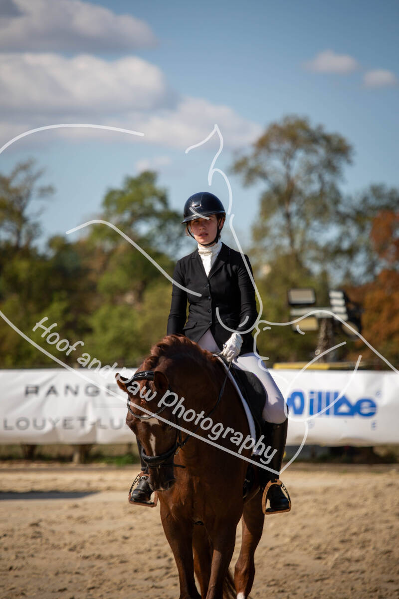 bouferterhaff-jumping-12-standard-9kgk1l.jpg