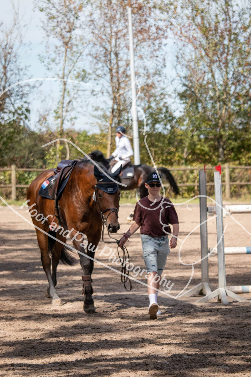 bouferterhaff-jumping-12-standard-evszd4.jpg