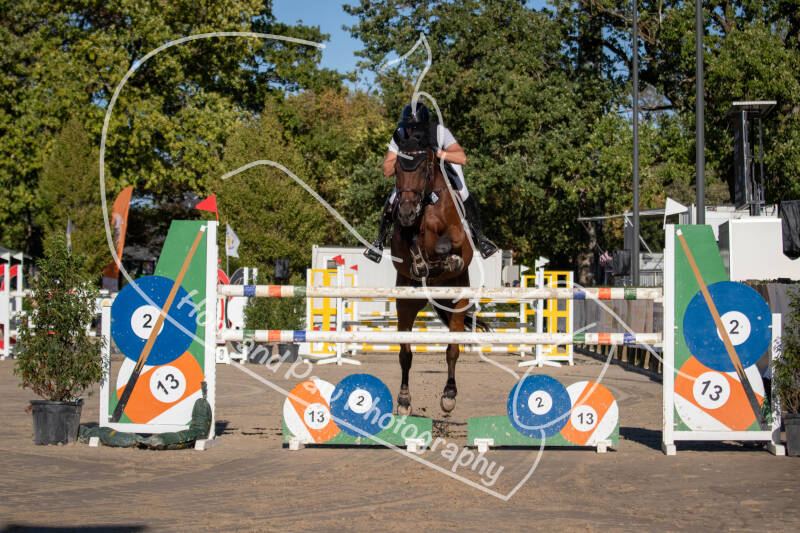bouferterhaff-jumping-12-standard-syt4an.jpg