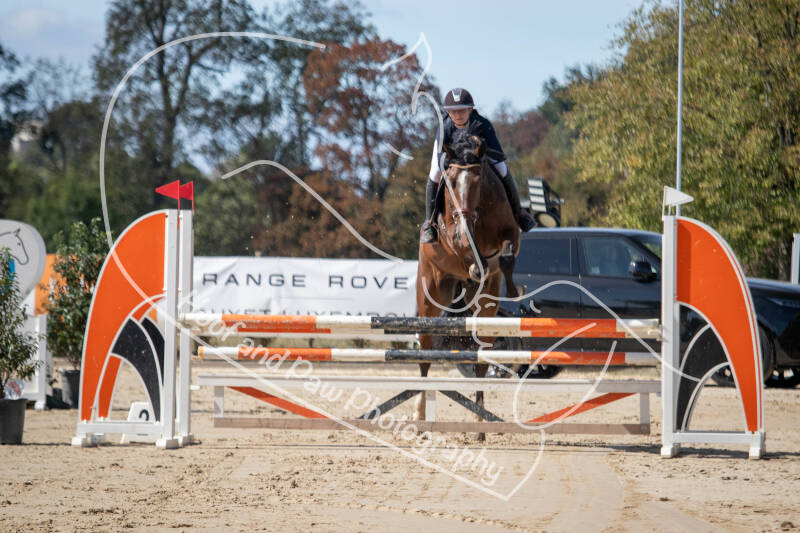 bouferterhaff-jumping-12-standard-tknucb.jpg